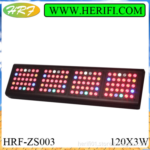 Ever grow ZS003 120x3w led grow light 240W led lamps for indoor growing